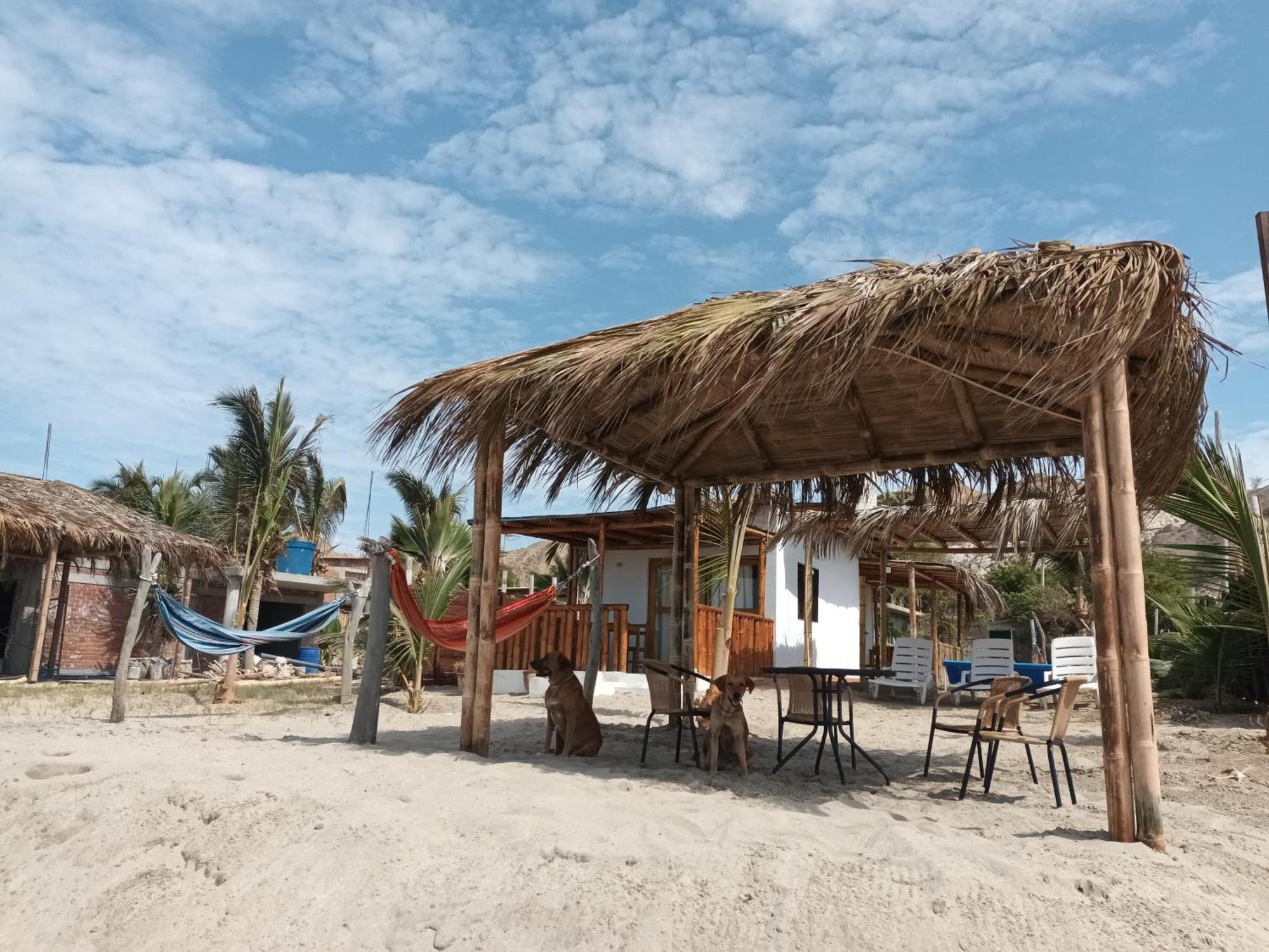 Bungalows Sol Y Mar Canoas de Punta Sal Exterior photo